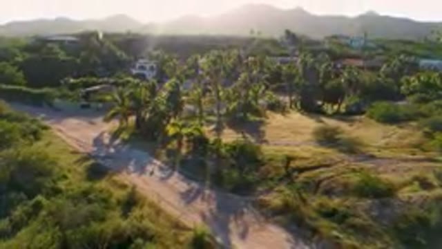 LOS FRAILES BCS MEXICO-2023: Aerial Dirt Road With Palm Trees And Houses In The