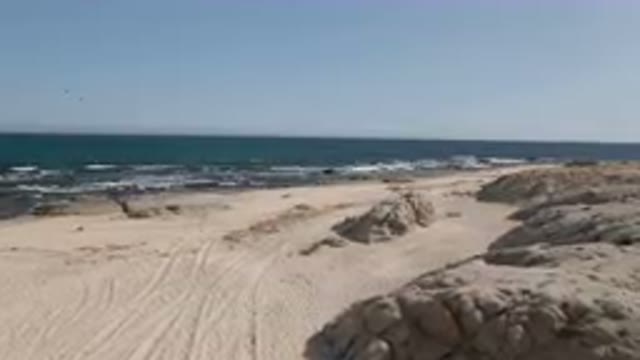 SHIPWRECKS BEACH LOS CABOS BCS MEXICO-2023: Person Walking On The Beach With A