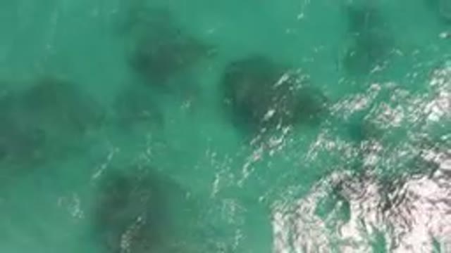 SHIPWRECKS BEACH LOS CABOS BCS MEXICO-2023: Two People In The Water With A