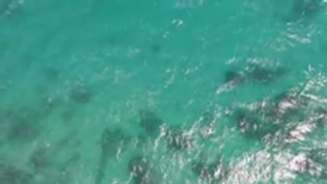SHIPWRECKS BEACH LOS CABOS BCS MEXICO-2023: In The Water With A Surfboard In The