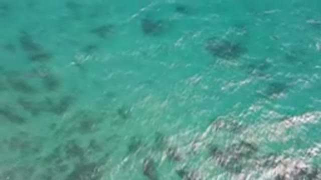 SHIPWRECKS BEACH LOS CABOS BCS MEXICO-2023: In The Water With A Surfboard In The