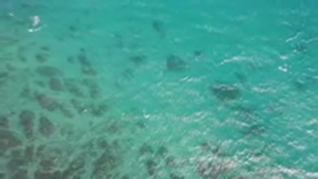 SHIPWRECKS BEACH LOS CABOS BCS MEXICO-2023: Many Fish Swimming In The Water Near