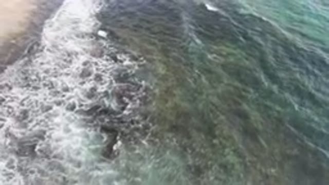 SHIPWRECKS BEACH LOS CABOS BCS MEXICO-2023: Flying Over The Ocean Waves On A