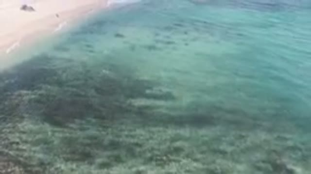 SHIPWRECKS BEACH LOS CABOS BCS MEXICO-2023: Aerial View of Shipwreck on Empty Shoreline
