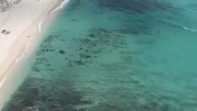 SHIPWRECKS BEACH LOS CABOS BCS MEXICO-2023: Aerial Beach With A Sandy Shoreline