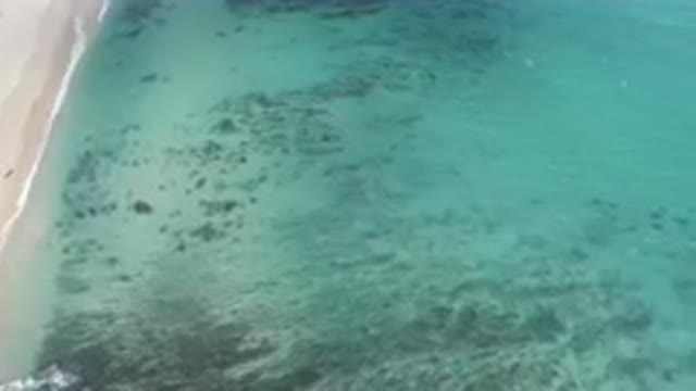 SHIPWRECKS BEACH LOS CABOS BCS MEXICO-2023: Aerial Beach With A Boat And Sandy Shore