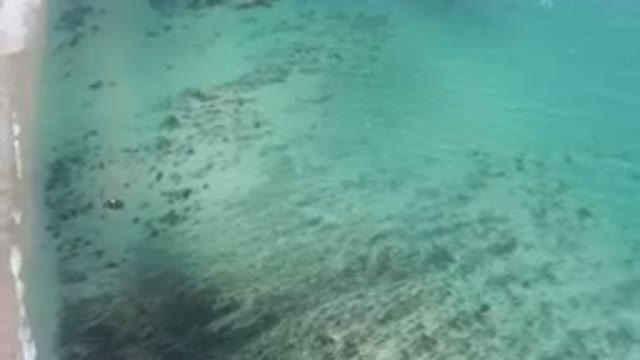 SHIPWRECKS BEACH LOS CABOS BCS MEXICO-2023: Aerial View of Boat on Turquoise Shore