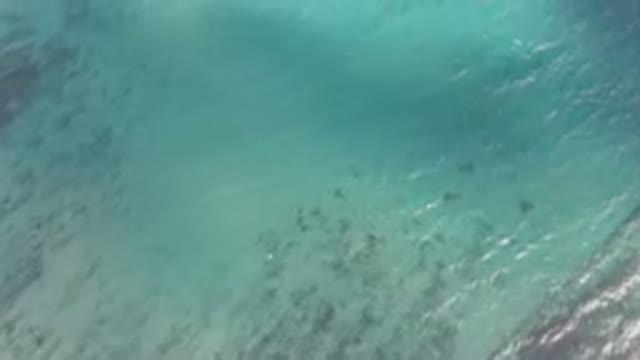 SHIPWRECKS BEACH LOS CABOS BCS MEXICO-2023: Person On A Surfboard In The Water