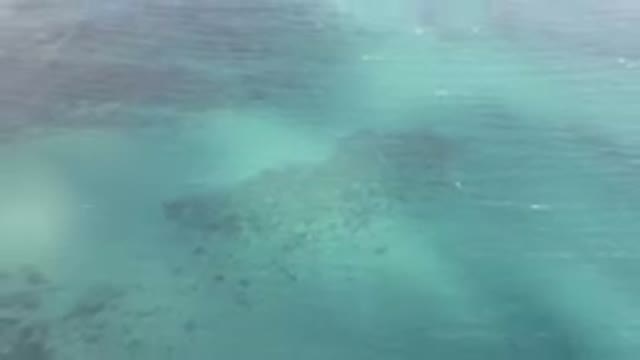 SHIPWRECKS BEACH LOS CABOS BCS MEXICO-2023: Flying Over The Ocean With A Beach