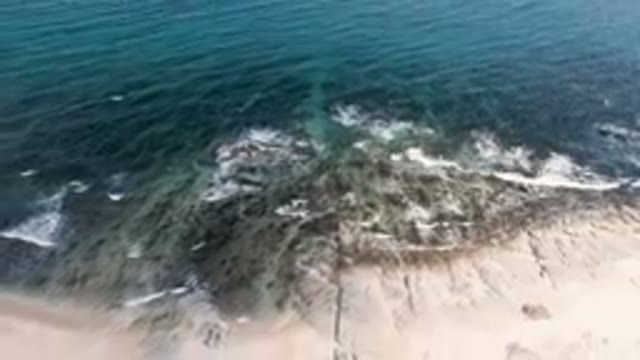 SHIPWRECKS BEACH LOS CABOS BCS MEXICO-2023: Beach With A Surfboard On The Shore