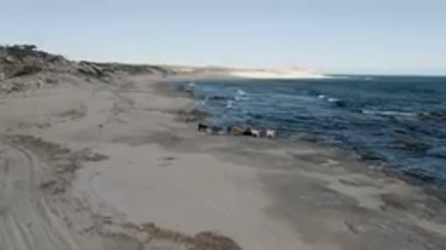 SHIPWRECKS BEACH LOS CABOS BCS MEXICO-2023: Walking Along The Beach On A Sunny Day
