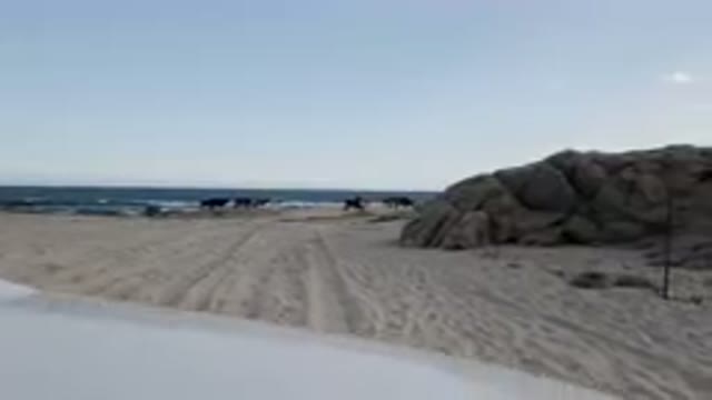 SHIPWRECKS BEACH LOS CABOS BCS MEXICO-2023: Man Standing On The Beach With A Surfboard