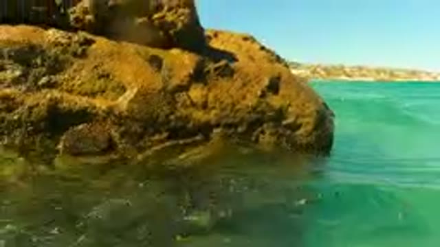 PALMILLA BCS MEXICO-2023: Man Sitting On A Rock In The Water