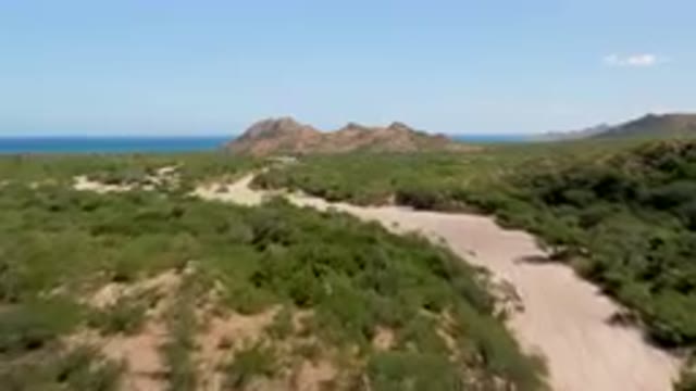 CABO PULMO BCS MEXICO-2023: Dirt Road In A Desert Area With A Mountain In The