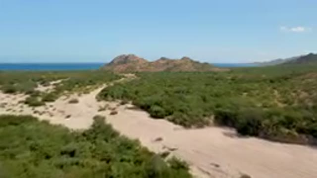 CABO PULMO BCS MEXICO-2023: Dirt Road In The Middle Of A Desert With A Mountain