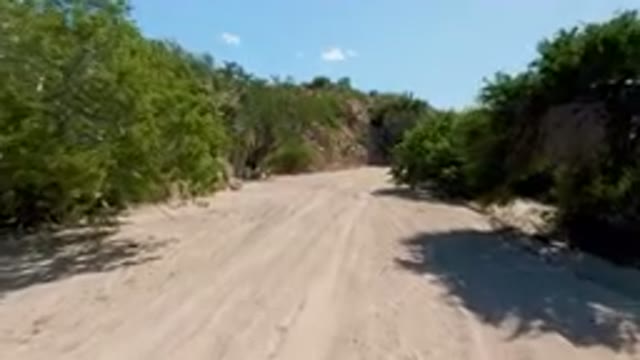 CABO PULMO BCS MEXICO-2023: Dirt Road With Trees And Bushes On Both Sides Of It