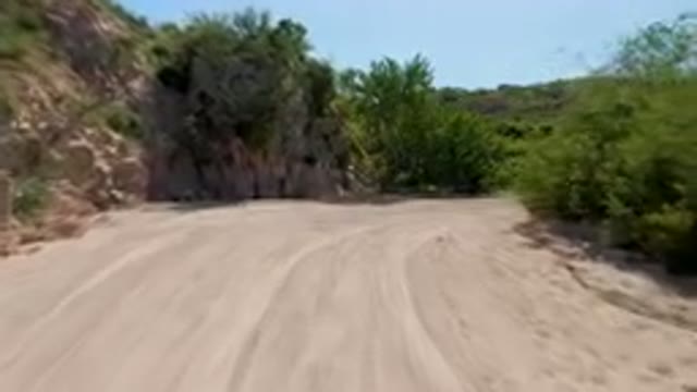 CABO PULMO BCS MEXICO-2023: Dirt Road With Trees And Bushes On Both Sides