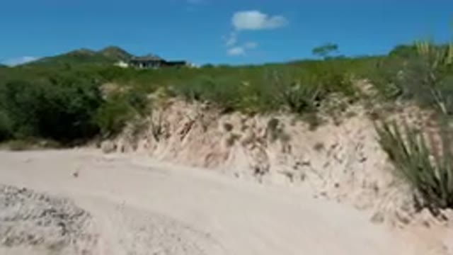 CABO PULMO BCS MEXICO-2023: Dirt Road With House On Top Of It