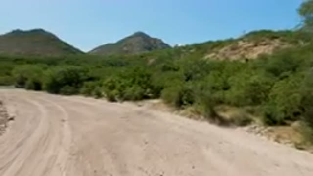 CABO PULMO BCS MEXICO-2023: Dirt Road With A Dirt Path In The Middle Of A Field