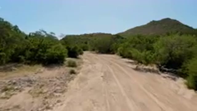 CABO PULMO BCS MEXICO-2023: Dirt Road With Bushes On Both Sides