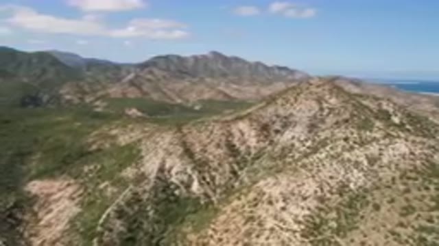 CABO PULMO BCS MEXICO-2023: Aerial View of Arid Mountains and Palm Forest