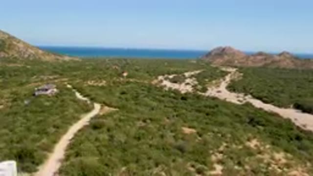 CABO PULMO BCS MEXICO-2023: Dirt Road Going Through A Green Field With A