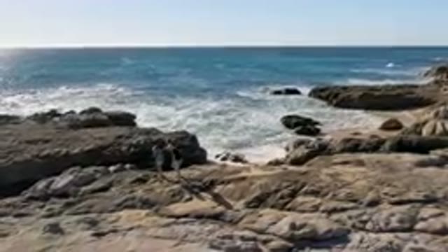 LAGUNA BEACH LOS CABOS BCS MEXICO-2023: Shell Hunting on Rocky Shores