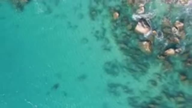 LAGUNA BEACH LOS CABOS BCS MEXICO-2023: Aerial Body Of Water With Rocks And A Tree