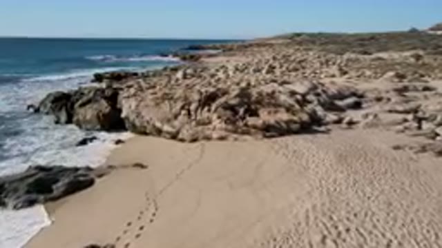 LAGUNA BEACH LOS CABOS BCS MEXICO-2023: Footprints Across the Beach