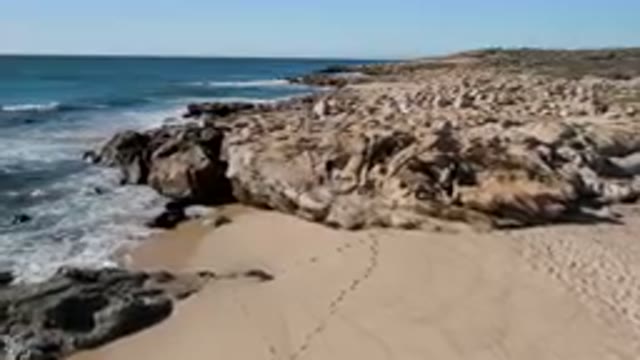 LAGUNA BEACH LOS CABOS BCS MEXICO-2023: People atop a Coastal Rock Formation