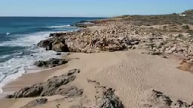 LAGUNA BEACH LOS CABOS BCS MEXICO-2023: Footprints on a Secluded Beach