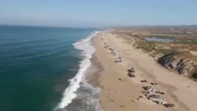 MIGRINO BCS MEXICO-2023: Arafly Beach With A Lot Of People On It