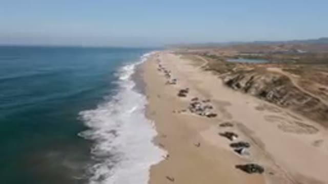 MIGRINO BCS MEXICO-2023: On The Beach With Cars Parked On The Sand