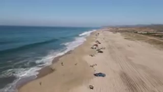 MIGRINO BCS MEXICO-2023: Vehicles Parked On A Beach Next To The Ocean
