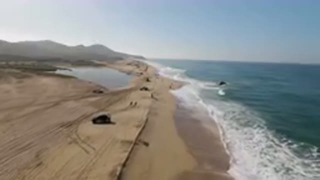 MIGRINO BCS MEXICO-2023: On The Beach With Cars And Trucks Parked On The Sand