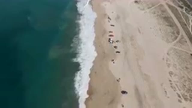 MIGRINO BCS MEXICO-2023: Aerial View Of Beach With Umbrellas And People On Sand