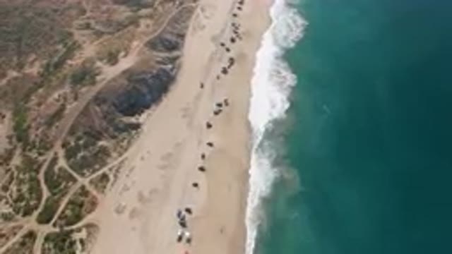 MIGRINO BCS MEXICO-2023: Aerial Beach With A Lot Of People Walking On It