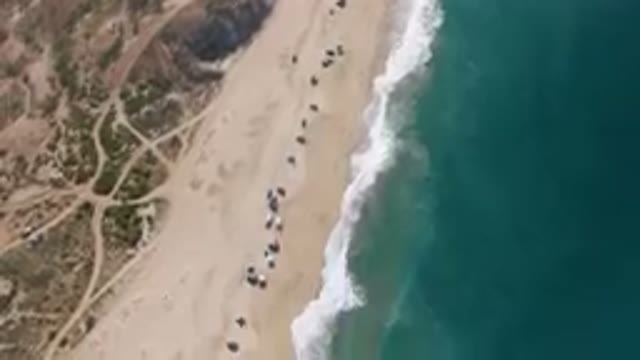 MIGRINO BCS MEXICO-2023: Aerial Beach With People And Umbrellas On The Sand