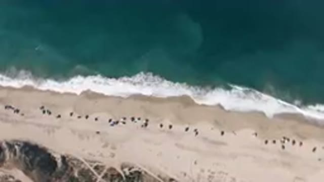 MIGRINO BCS MEXICO-2023: Aerial Beach With People Walking On The Sand