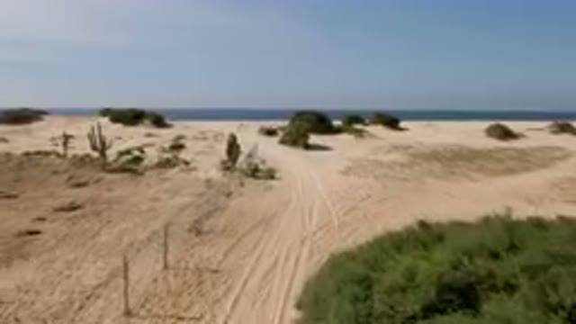 MIGRINO BCS MEXICO-2023: Dirt Road In The Middle Of A Sandy Area With A Few