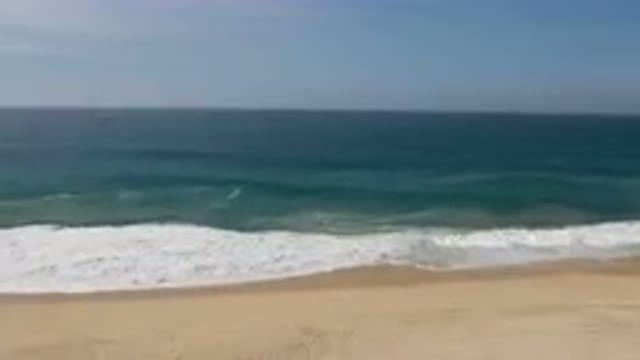 MIGRINO BCS MEXICO-2023: A Kite Flying Over the Beach Near the Ocean