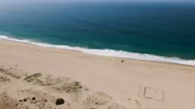 MIGRINO BCS MEXICO-2023: On The Beach With A View Of The Ocean