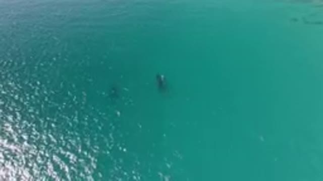 LAGUNA BEACH LOS CABOS BCS MEXICO-2023: Two People In The Water With A Surfboard