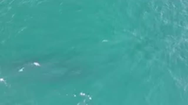 LAGUNA BEACH LOS CABOS BCS MEXICO-2023: Man Riding A Surfboard On The Water