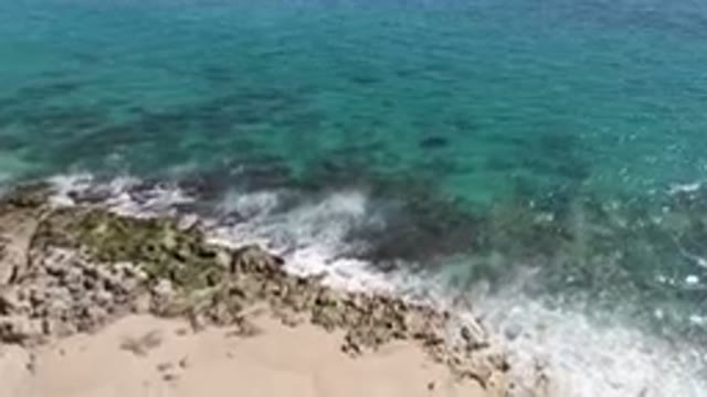 LAGUNA BEACH LOS CABOS BCS MEXICO-2023: Beach With A Body Of Water And A Rocky Shoreline