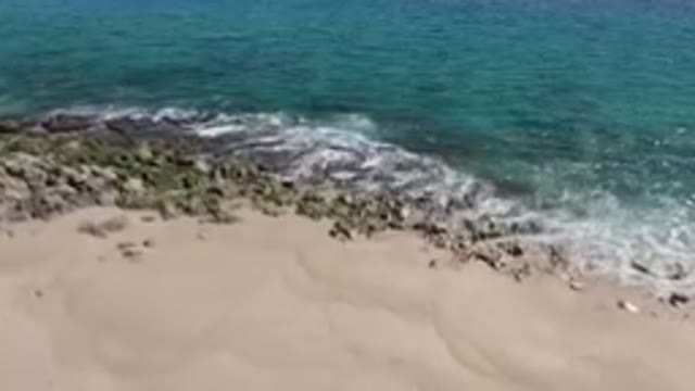 LAGUNA BEACH LOS CABOS BCS MEXICO-2023: Beach With A Surfboard On The Shore