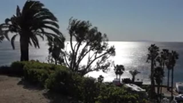 MALIBU CALIFORNIA-2020: View Overlooking Body of Water in Sunlight with Swaying Palm Trees