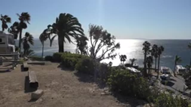 MALIBU CALIFORNIA-2020: Relaxing View On The Top Of The Hill Of A Palm Trees And Ocean