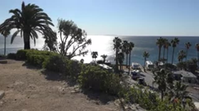 MALIBU CALIFORNIA-2020: Palm Trees Swaying Near An Ocean Beach During Daytime