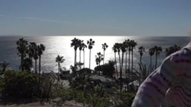 MALIBU CALIFORNIA-2020: Sky Kid Sea Trees Girl Nature House Beach Plant Bush